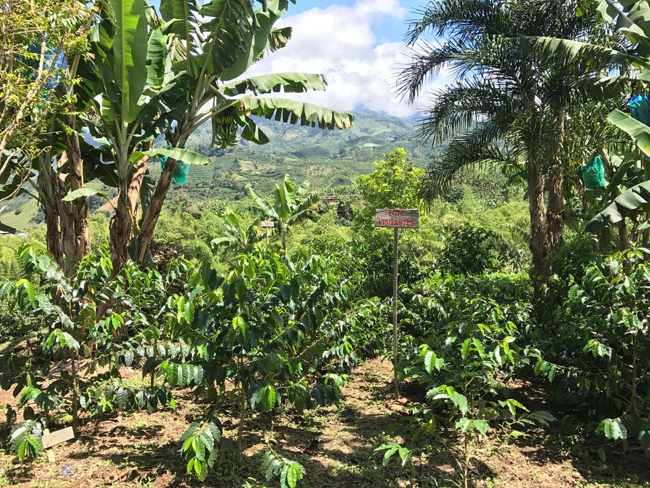 Bio farma